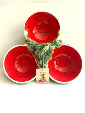 🎁3D CornerRuby Watermelon Collection Serving Bowl Trio with Carry Loop